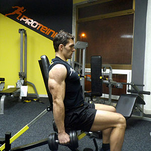 cekic - biceps